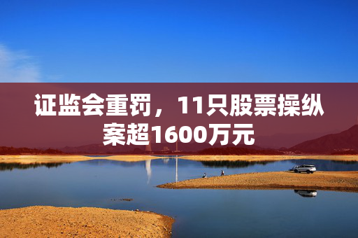 证监会重罚，11只股票操纵案超1600万元