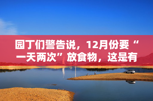 园丁们警告说，12月份要“一天两次”放食物，这是有重要原因的