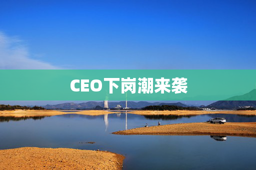 CEO下岗潮来袭