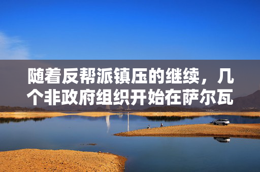 随着反帮派镇压的继续，几个非政府组织开始在萨尔瓦多登记失踪人员